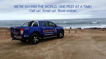  Spiderman SE Eco pest management