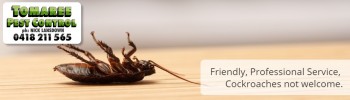 Tomaree Pest Control