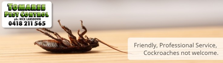 Tomaree Pest Control
