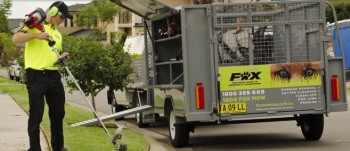 Fox the new name in mowing and gardening