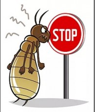 Propest pest management service