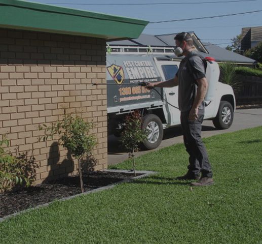 Pest Control Melbourne