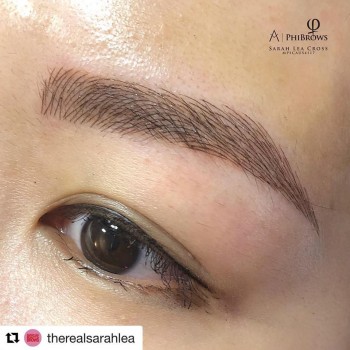 Eyebrows Education Adelaide