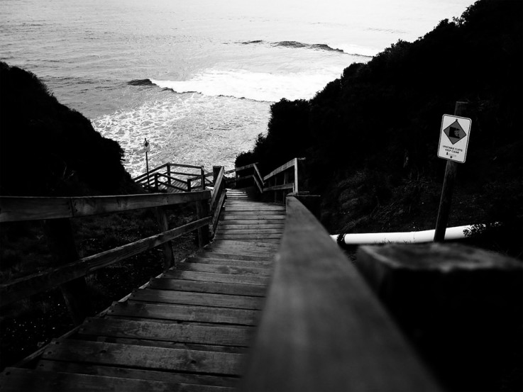 Fluke Designs business card maker