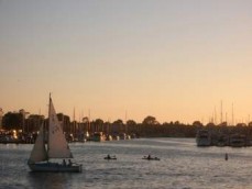 Data Press business card australia