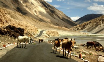 Soaring Himalayas In India
