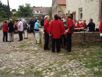 Cracker Adelaide is the best alternative to cracker