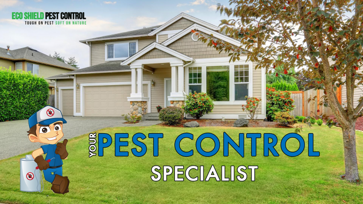 Pest Control Perth | Organic Pest Control | Ants Pest Control