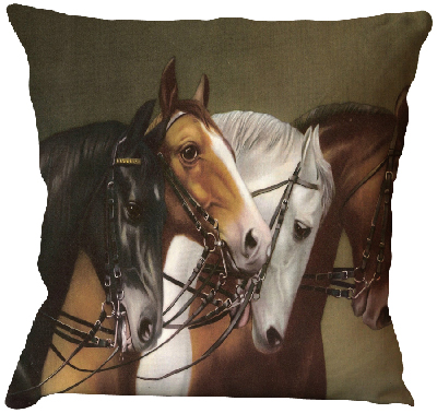 Indian Pillow Covers Online at a Reasona