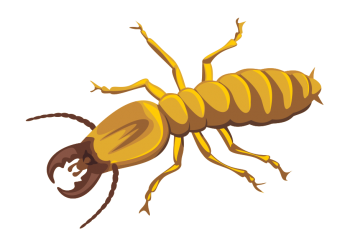 Antspestcontrol