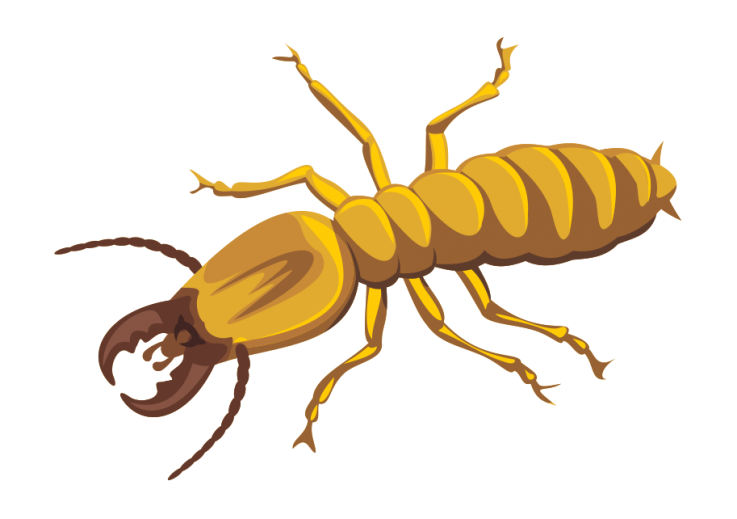Antspestcontrol