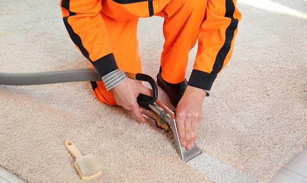 Cheap Carpet Steam Cleaners With Excellent Quality Care