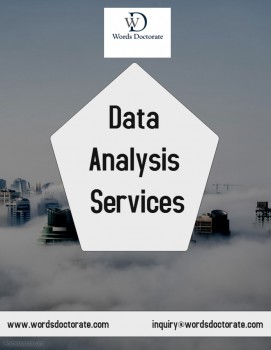 Data Analysis Services