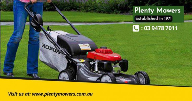 Lawn Mowers and Chainsaws Repair Service