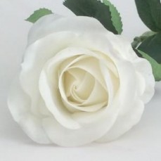 Single stem flowers for sale in Australia