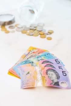 Lucrative startup investments!