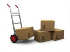Professional Removalists | Adam Removalists | 1800 957 862