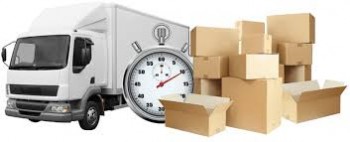 Professional Removalists | Adam Removalists | 1800 957 862