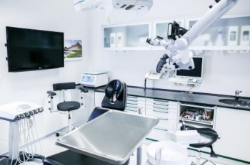 Find Paediatric Dentist clinics in Sydney