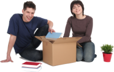 Removalists