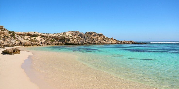 Contractor's for autsim and support work