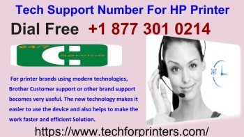 Tech Support Number For HP 18773010214