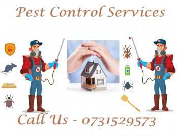 Hire Pest Control Services With 100% Satisfaction