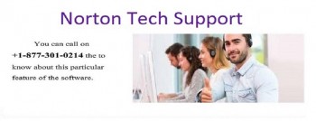 Stuck In Middle Dial +1 877 301 0214 Norton Support number 