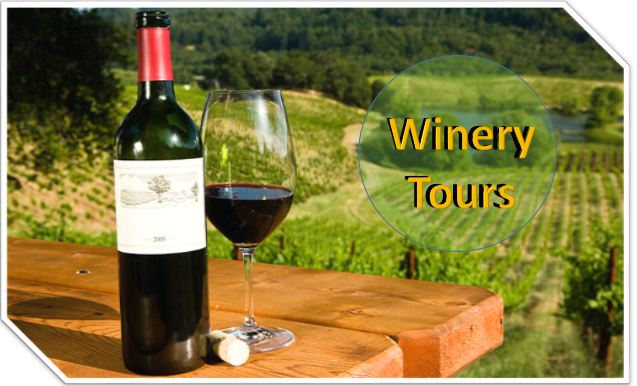 Looking for Winery Tours in Adelaide?