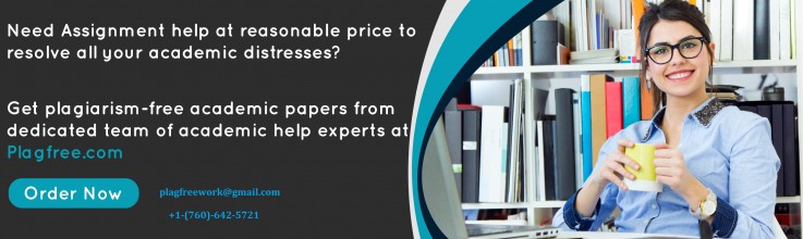 Homework Help Services Online | PlagFree