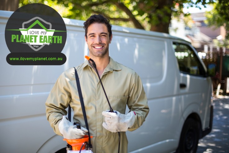 Termites pest control Sydney