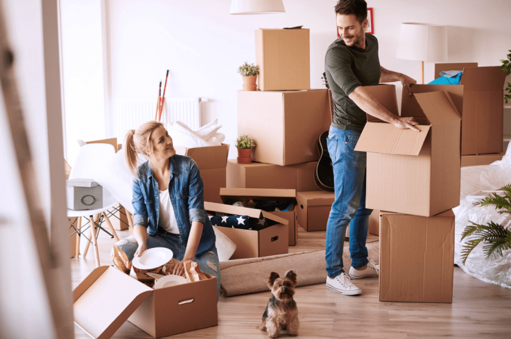 Reliable and Professional relocation services