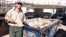 Great Website Savings On Skip Hire Prices