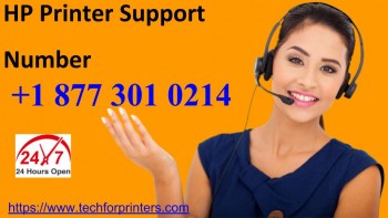8773010214 HP Printer Support Number