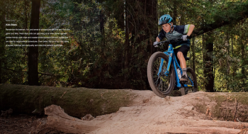 Gove Cycles and Bike Rack Cafe 