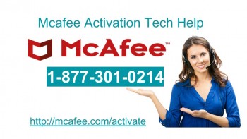Setup McAfee Antivirus 8773010214 Customer Help Support Phone Number