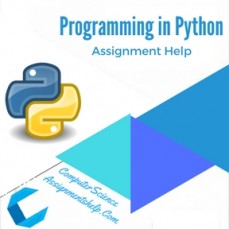 Python Assignment Help by PlagFree