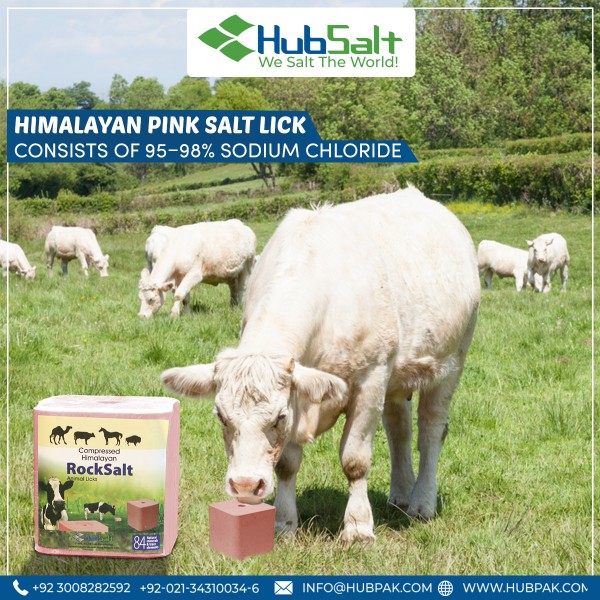 Compressed Himalayan Pink Salt Lick Bloc