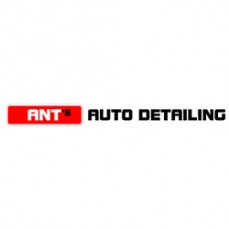 Revive your old car with extensive cleaning and detailing