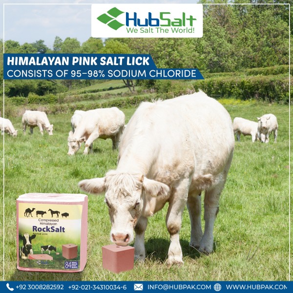 Compressed Himalayan Pink Salt Lick Block - Hub Salt