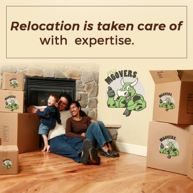 Best Bayside Removalists In  Melbourne