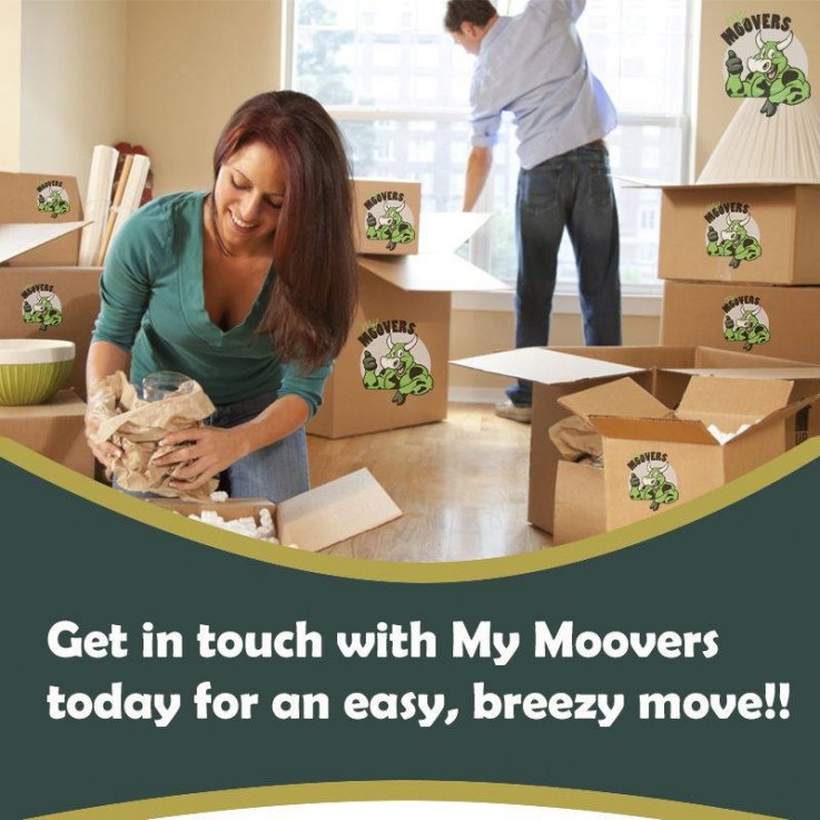 Best Bayside Removalists In  Melbourne