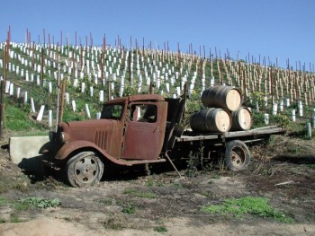 Searching for Premium Wholesale Wine Distributor?