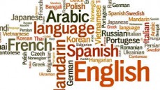 Are You Finding The Reliable Translation Services Online?