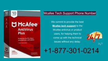 Need Mcafee Activation Help Connect With 8773010214 Tech Support for USA