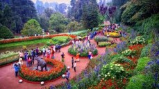 20% Offer the Chennai  tour packages - newsouthindiatour 	