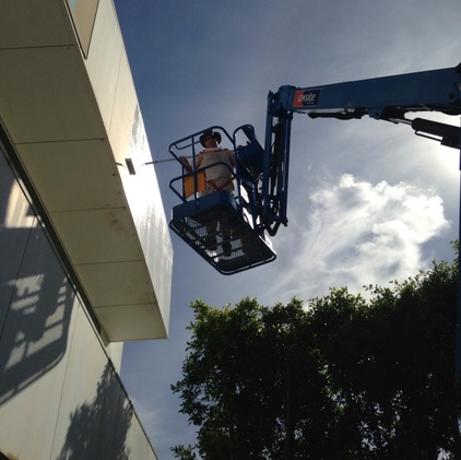 Adam Wyllyams Painting & Decorating