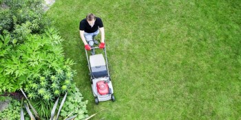 Best Lawn Care Gardener in Perth - Malaga Gardening & Mowing