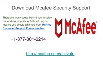 Use Toll Free Number +18773010214 For Mcafee Tech Support In USA 