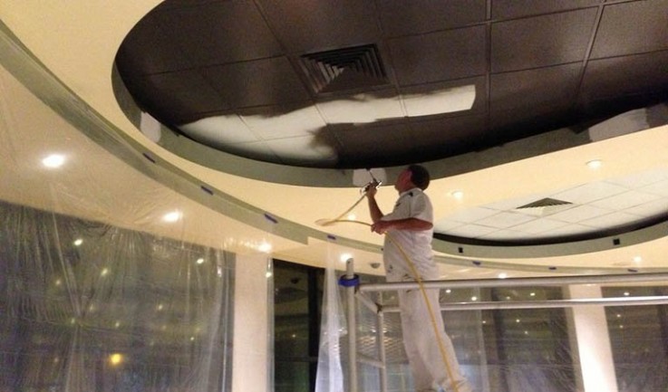 Bright Spots Painting & Decorating 